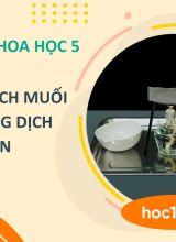 Thực hành tách muối ra khỏi dung dịch muối ăn - Khoa học 5  -  Hoc10